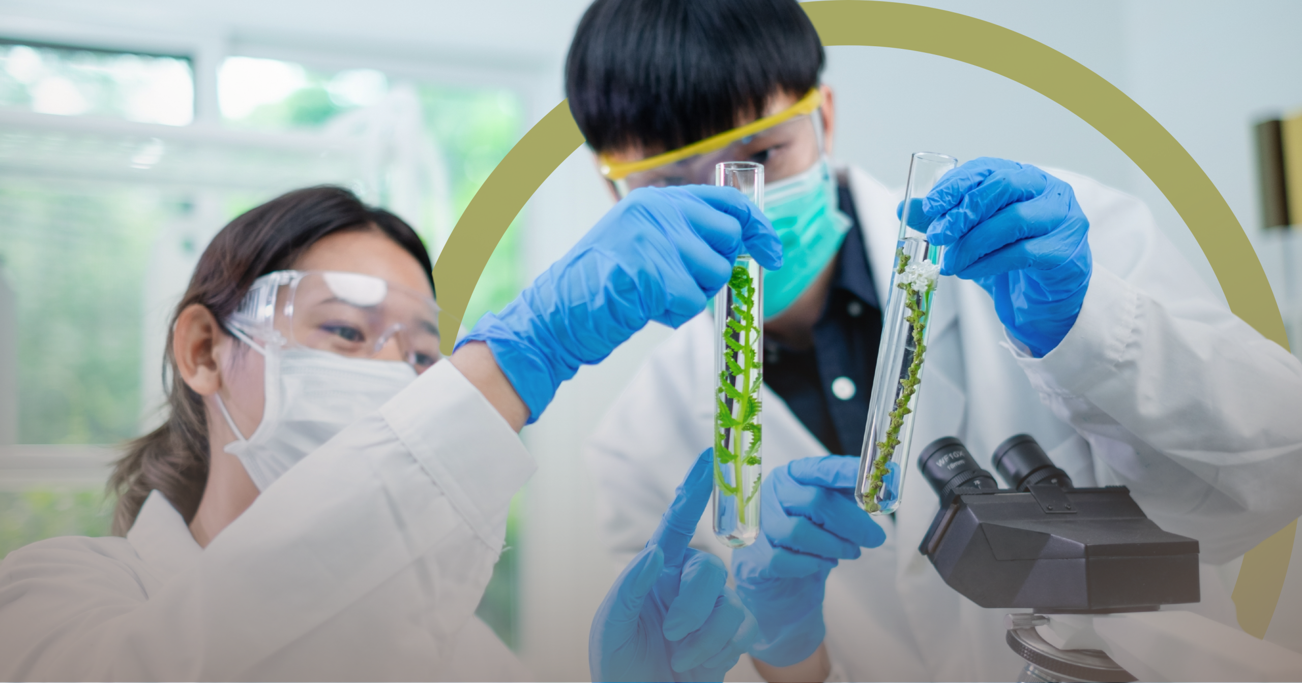 Área Medio Ambiente